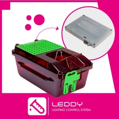 LEDDY