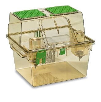Two Level cages: what Rat Mother want. Rodent Caging Evolution and welfare Outcomes