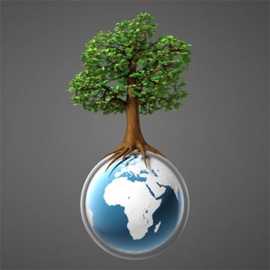 Tecniplast contributes to LEED rating System, selecting properly raw materials and evaluating constantly our suppliers’ sustainability policies
