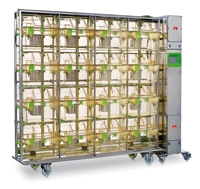 Individually Ventilated Cages