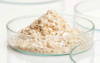 Bedding & Enrichments