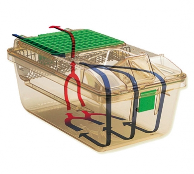 An interesting comparative study of Microenvironment in reusable and disposable individually ventilated cages
