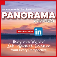 Bienvenue dans la première édition de notre newsletter digitale Panorama !