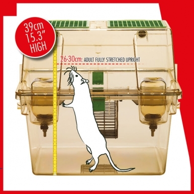 Les études de télémétrie chez le rat démontrent que l'utilisation de cages à deux étages permet aux rats hébergés de se tenir dans une posture totalement verticale, posture reconnue pour être partie intégrante et importante du bien-être d'un rat.