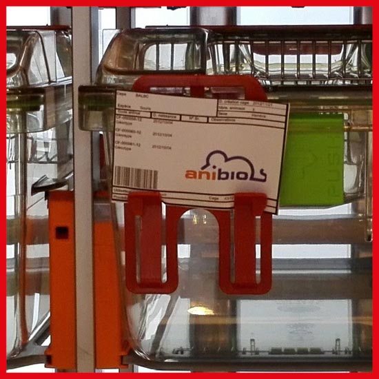 Laboratory Animal Equipment Laboratory Animal Equipment