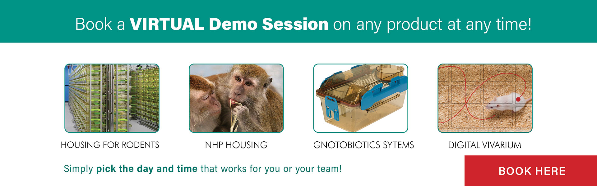Tecniplast Usa Laboratory Animal Equipment Tecniplast Usa Laboratory Animal Equipment